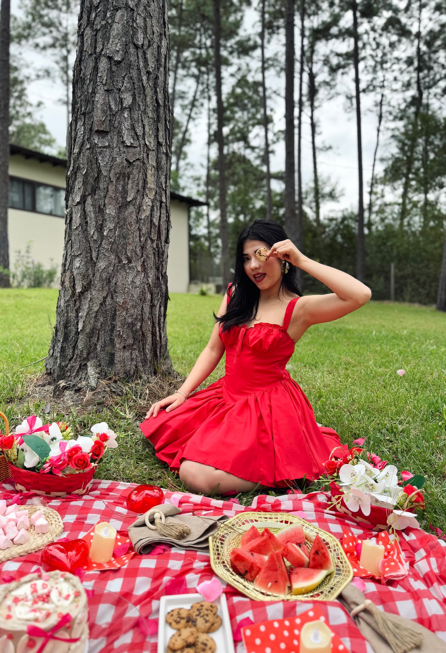VESTIDO PRINCESA CRINOLINA