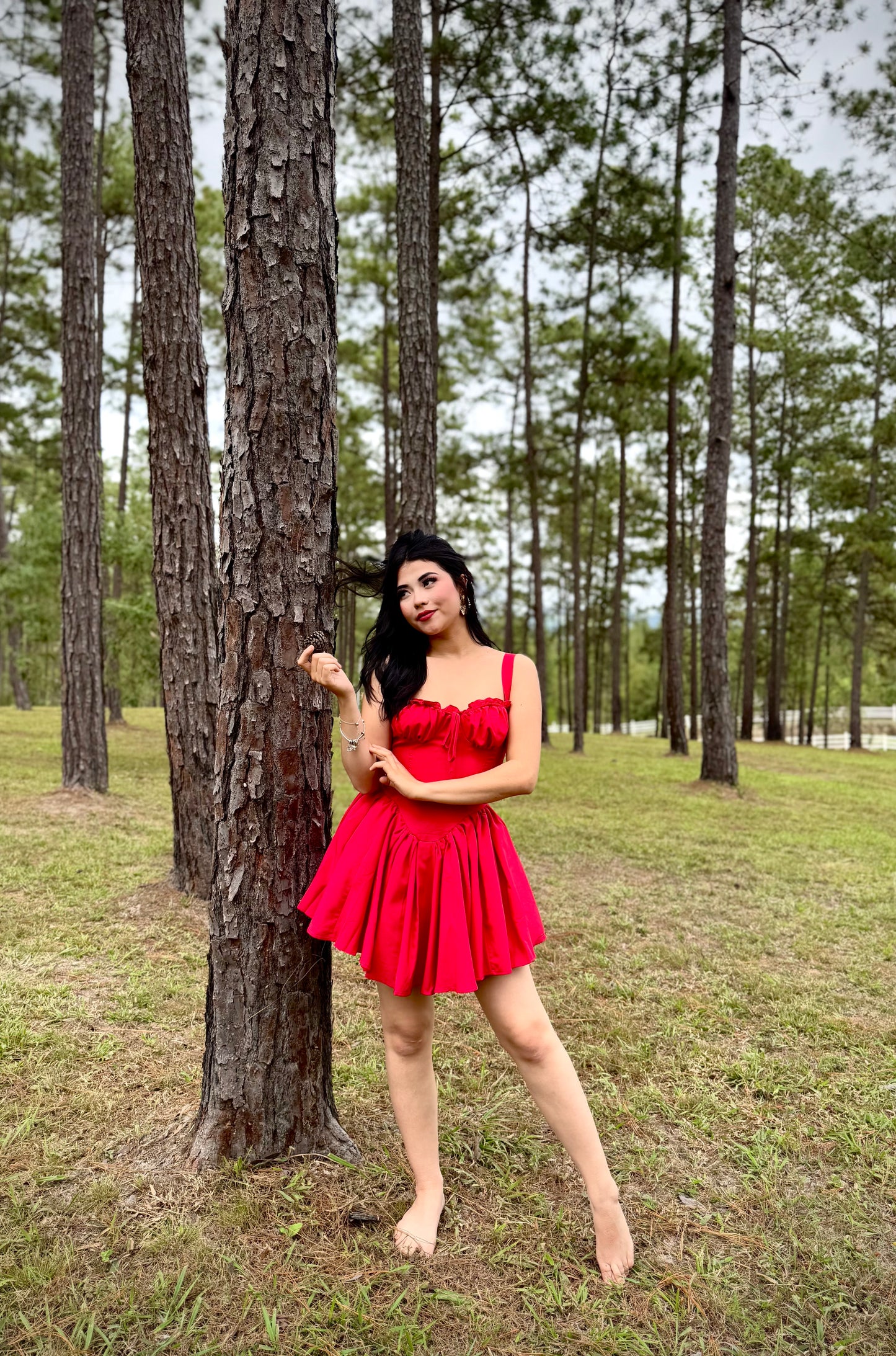 VESTIDO PRINCESA CRINOLINA