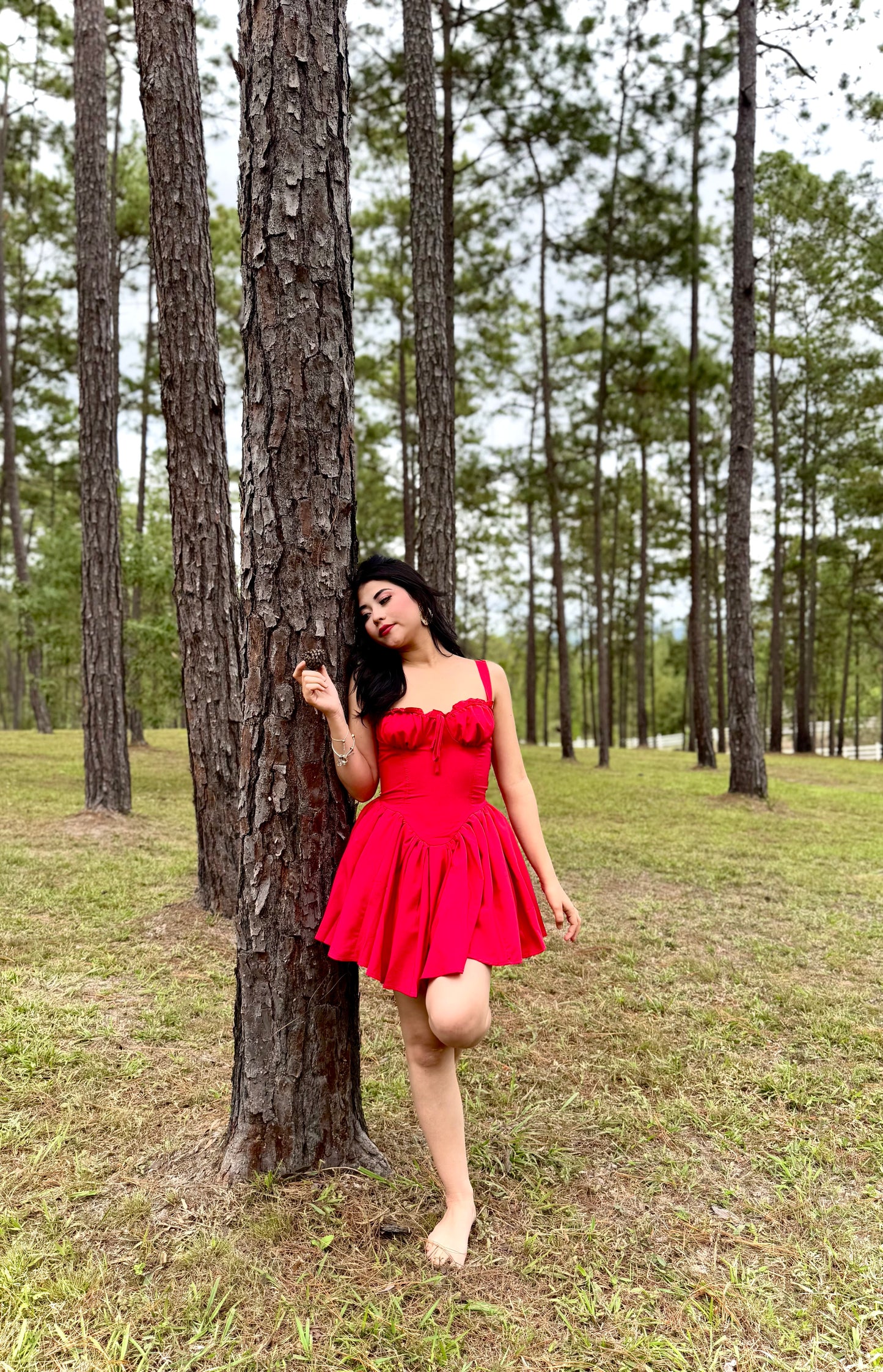 VESTIDO PRINCESA CRINOLINA