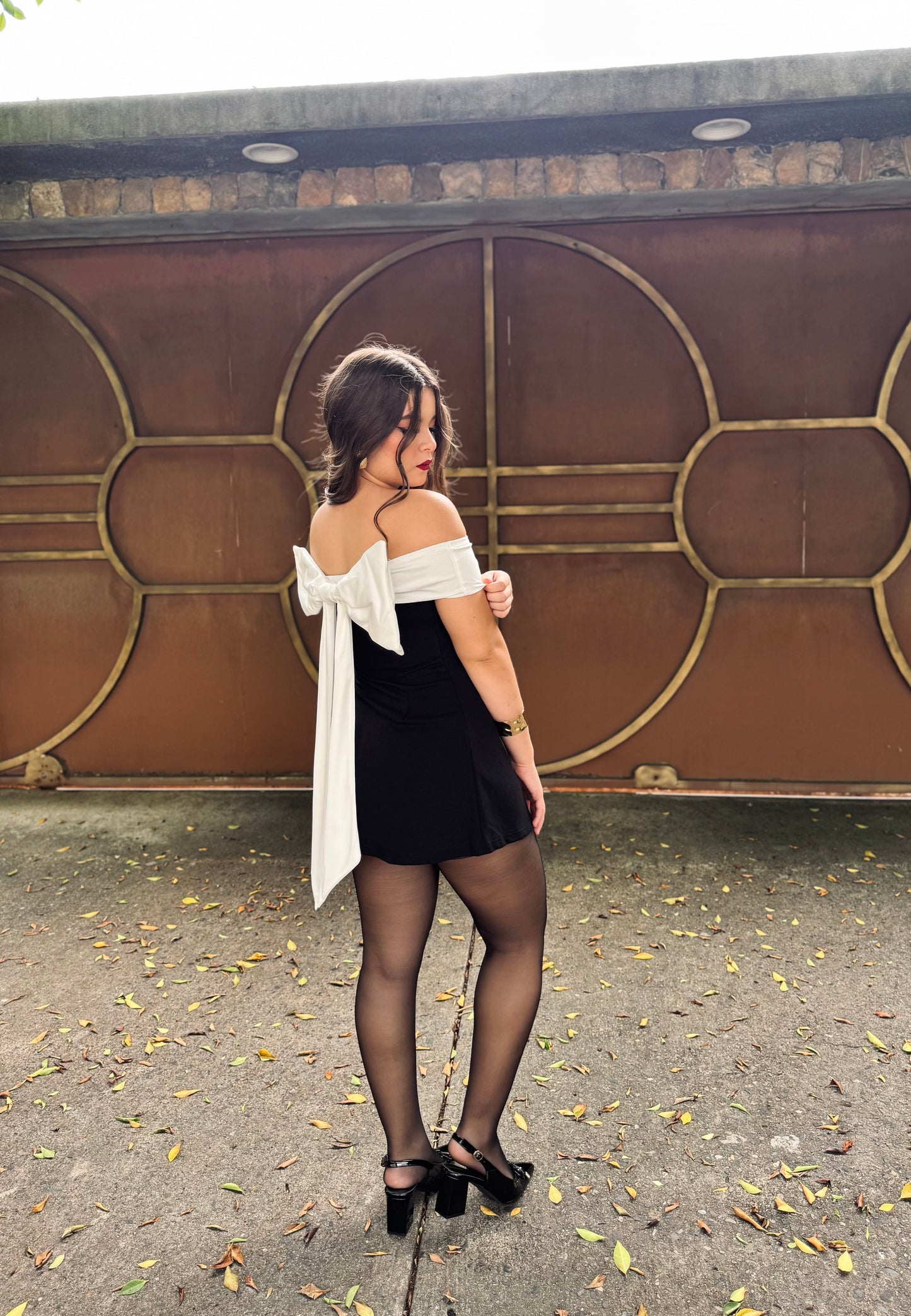 VESTIDO PRINCESA CHONGO
