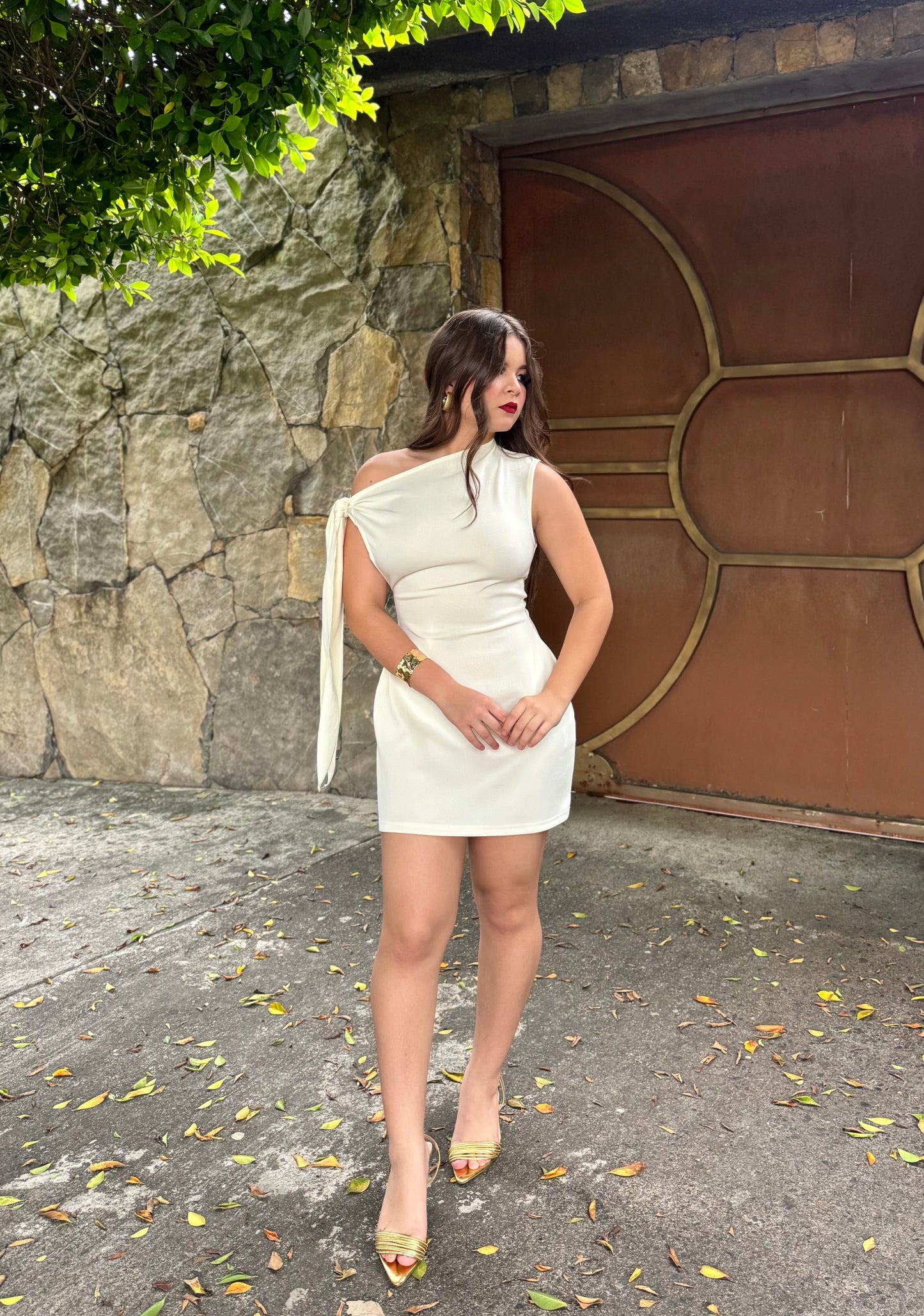 VESTIDO CUTE CHONGO