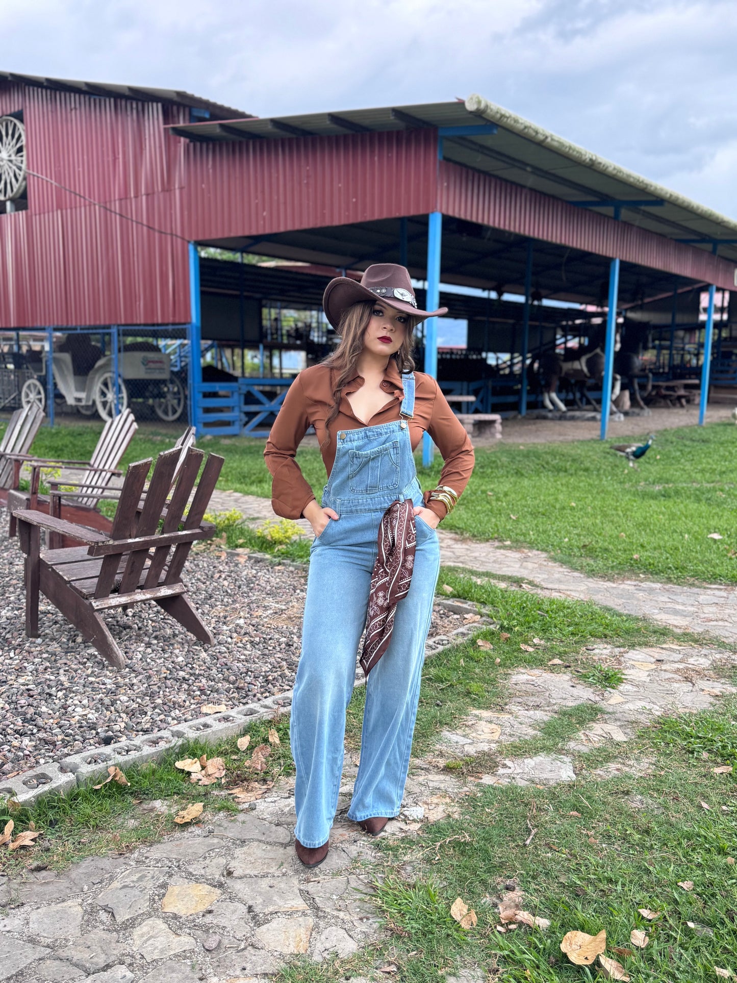 OVEROL DENIM