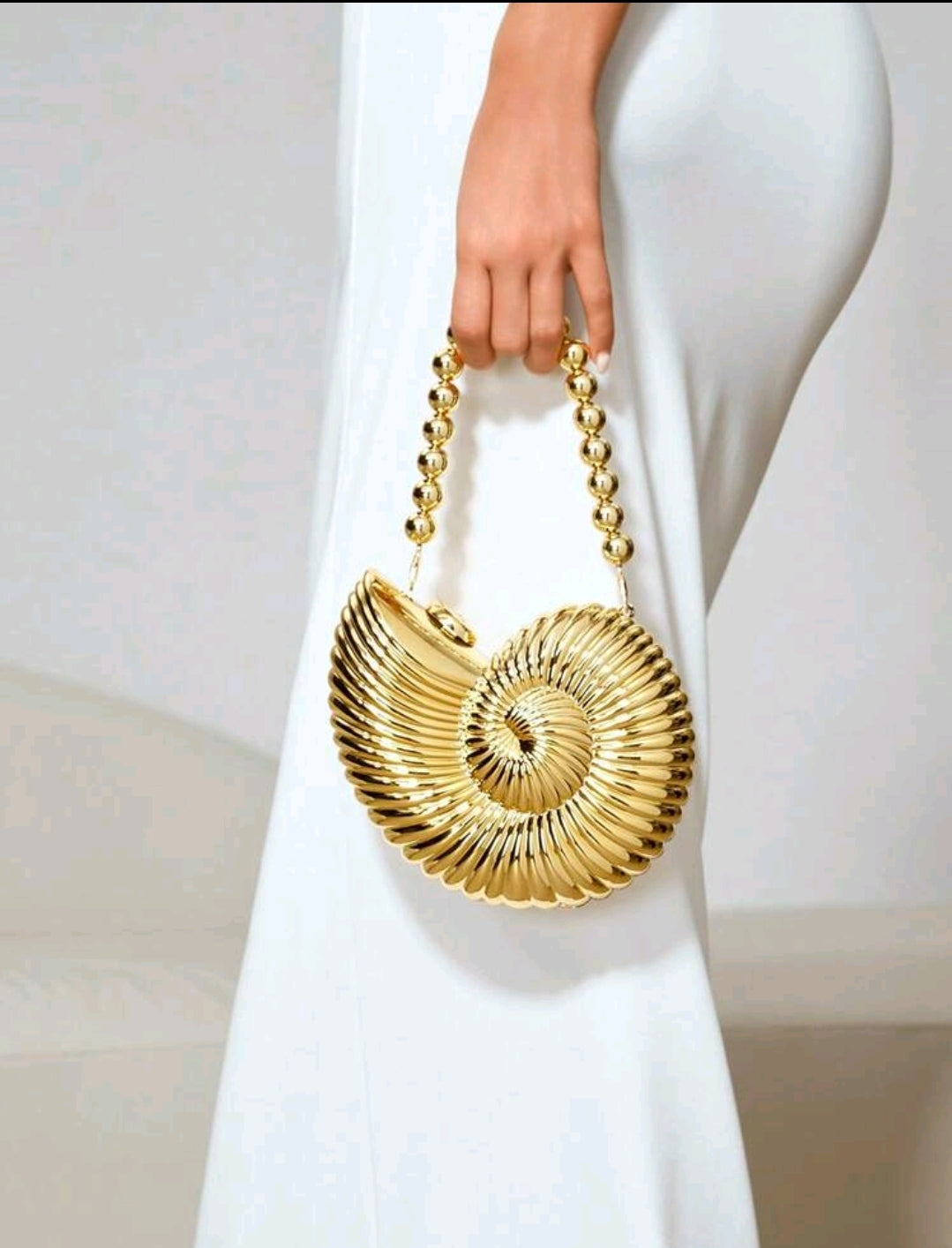 CARTERA CARACOL